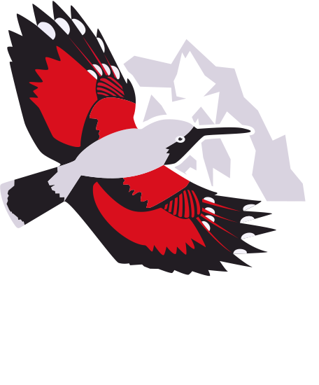 Le Tichodrome