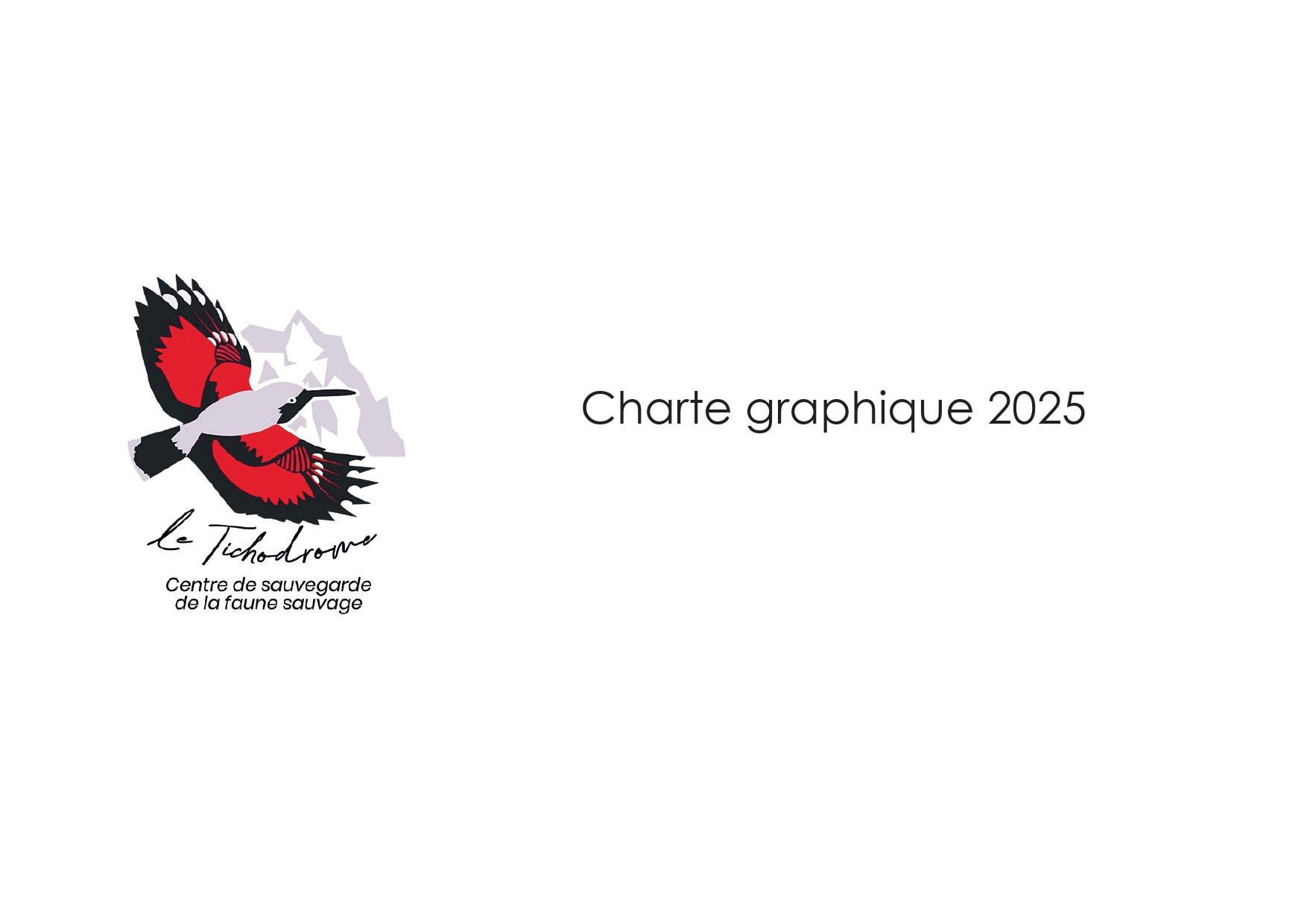 Charte Graphique Tichodrome GROUPE E_page-0001
