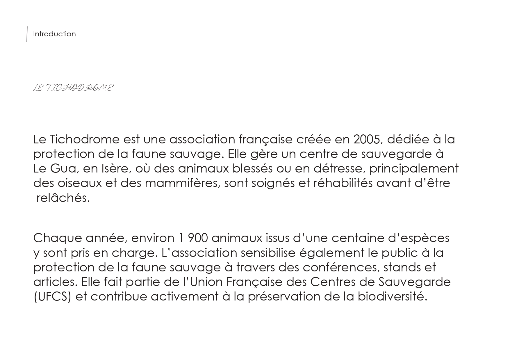 Charte Graphique Tichodrome GROUPE E_page-0002