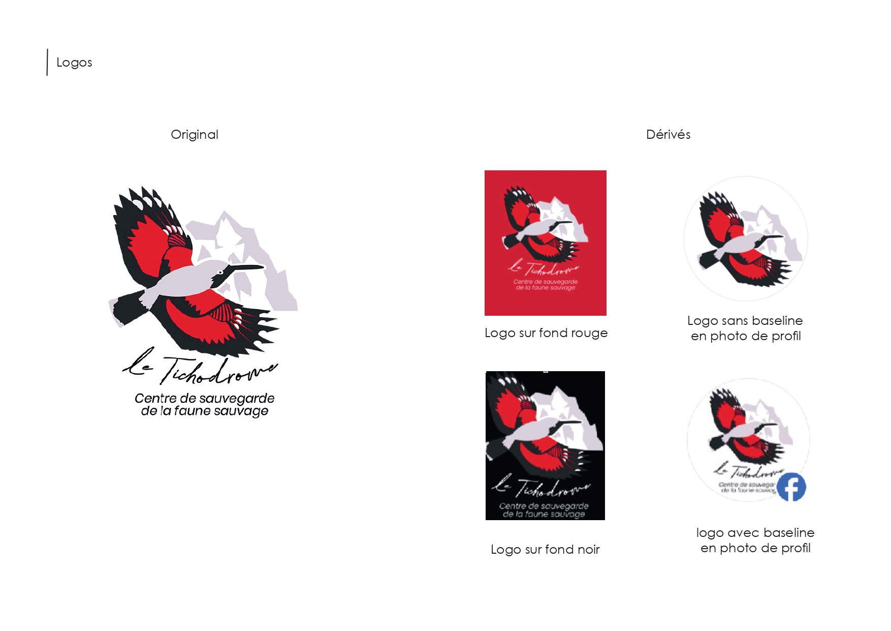 Charte Graphique Tichodrome GROUPE E_page-0003